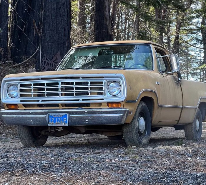 1972 Dodge D100