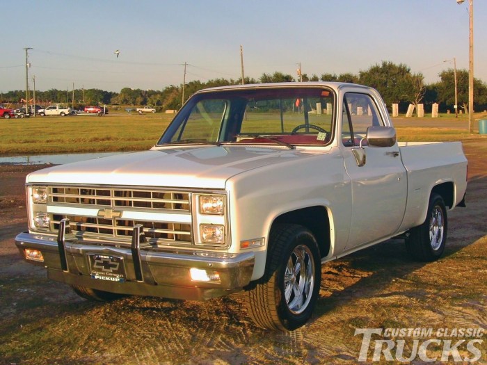 1985 Chevrolet Pickup