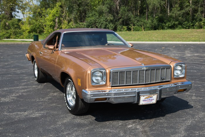 Camino el 1975 chevrolet classic