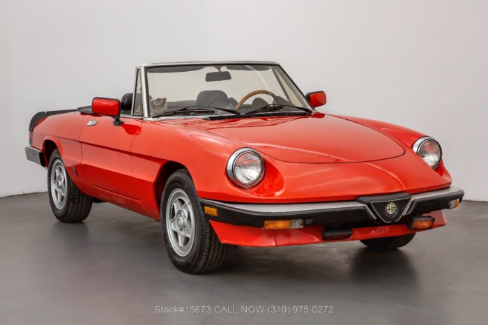 1985 Alfa Romeo 2000 Spider Veloce