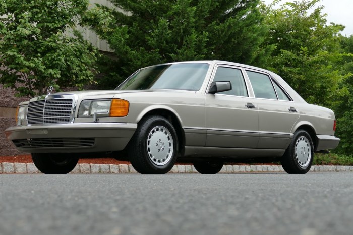 Mercedes 1991 300se se benz