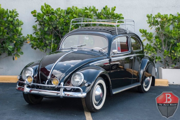 1955 Volkswagen Type 1: A Post-War Icon