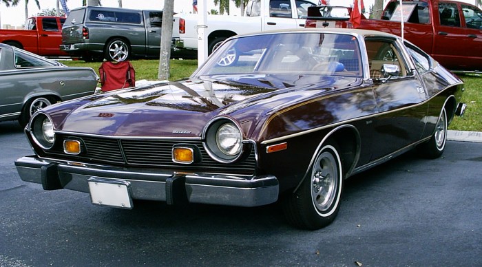 Matador amc 1976 car