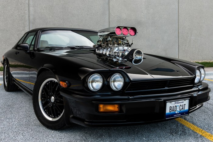 Jaguar race xjs v12 car turbo twin sale 1977 xj jag cams log sold book performancedrive au