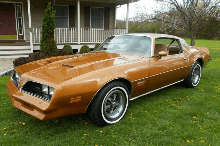 Firebird 1978 pontiac rockford kissimmee trans mecum