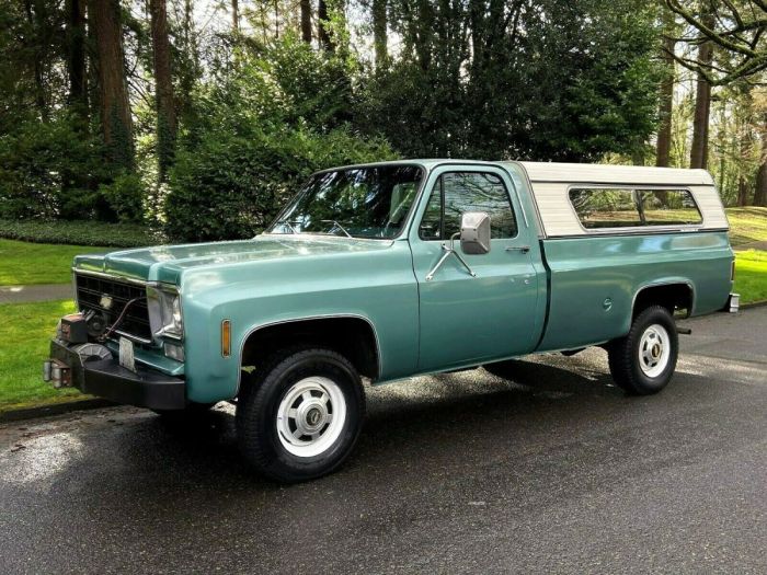 1978 chevy truck bed short chevrolet pickup swb 2wd ton 1500 sale classic