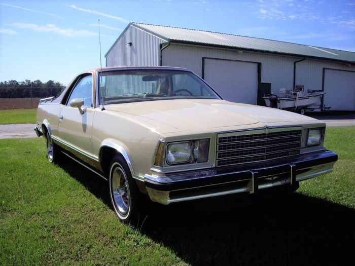 1979 GMC Caballero