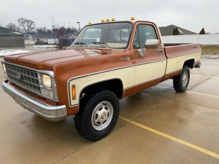 1980 Chevrolet Truck