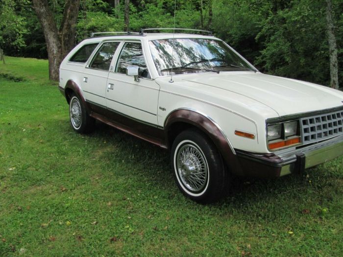 Amc eagle wagon 1986 other