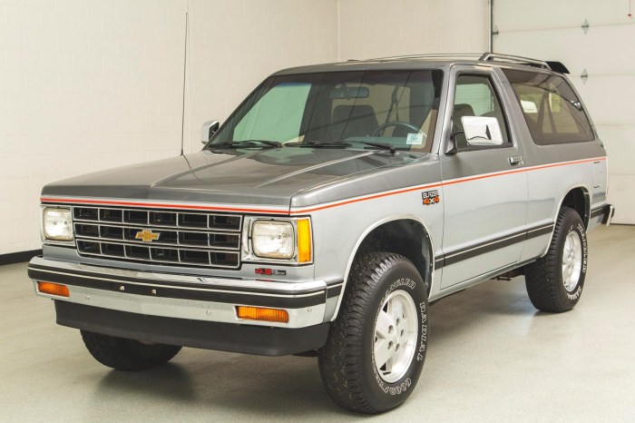 Blazer 1989 chevrolet momentcar