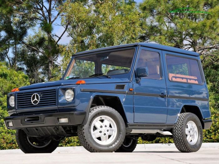 1991 Mercedes-Benz G-Wagon