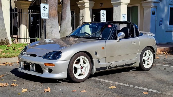 1991 Suzuki Cappuccino