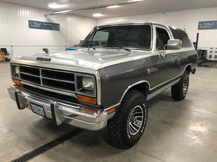 1990 Dodge Ramcharger