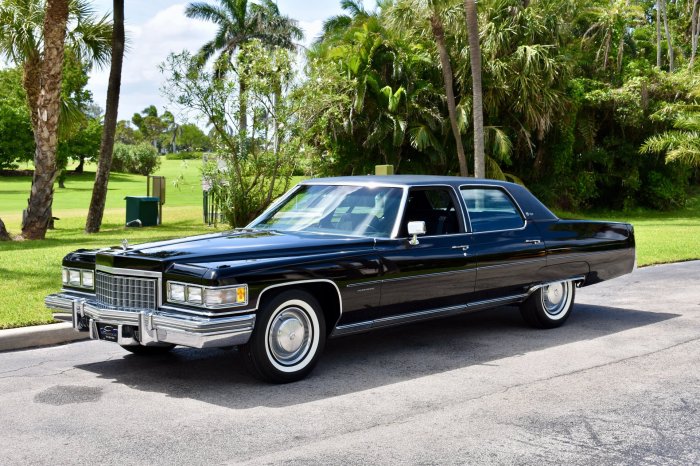 1976 fleetwood brougham orlando