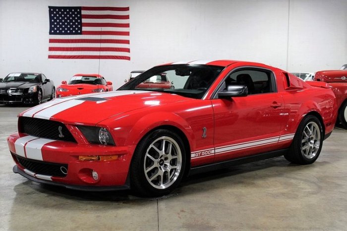 Mustang 2009 gt500 shelby ford sale