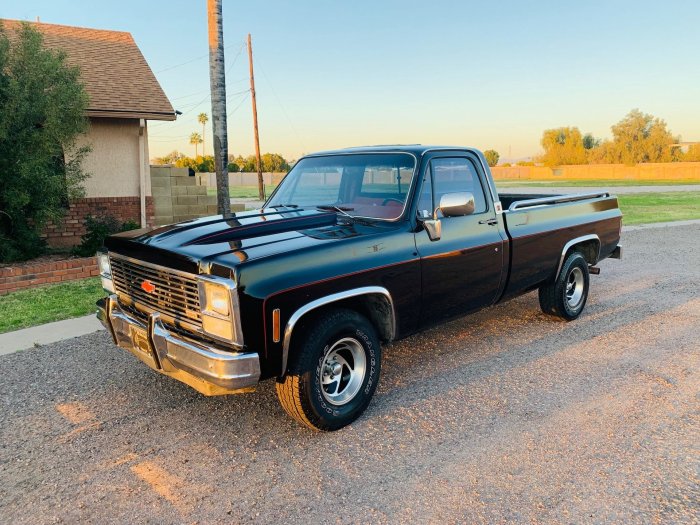 1980 Chevrolet C10