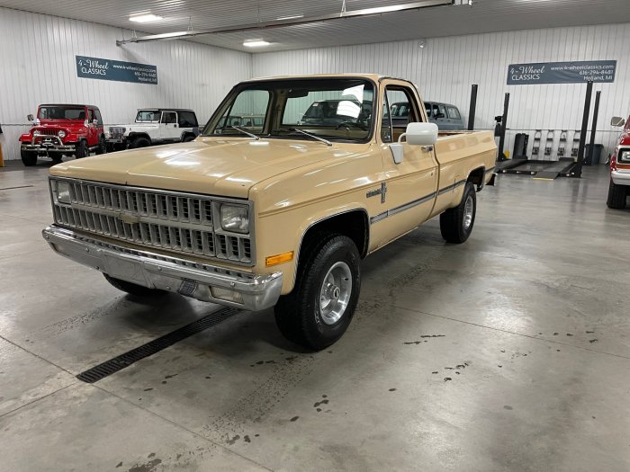 1982 Chevrolet C/K 10