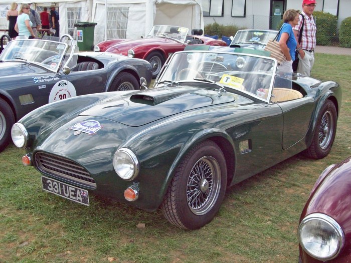 Shelby cobra 427 carroll racecar snake gt500 gt350 1960s motoryzacji 1965 tygodnik polski ilustrowany ów urodził teksasie stycznia został jednego