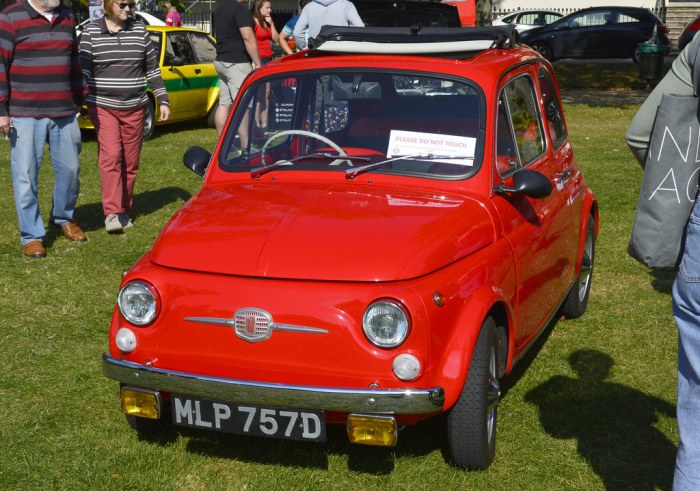 1967 Fiat 500D