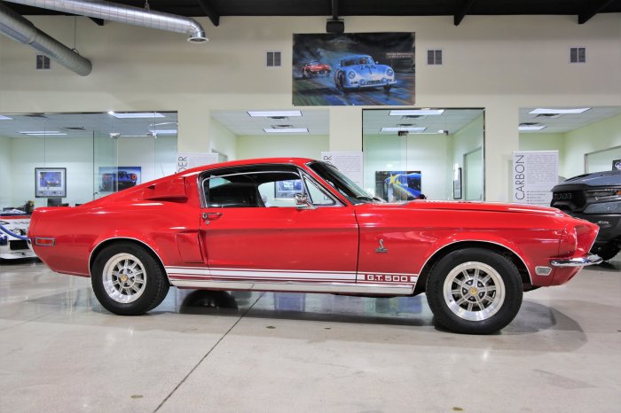 Shelby gt500