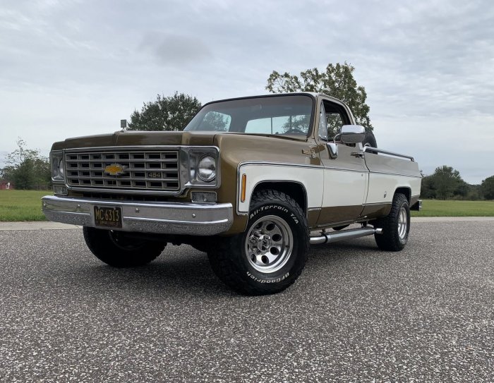 1975 Chevrolet C20