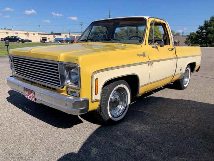 Cheyenne 1977 chevrolet camper special