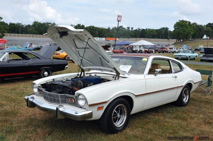 Comet 1973 mercury door