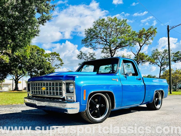 C10 1980 chevrolet bed short custom deluxe lowered ride step air side sale