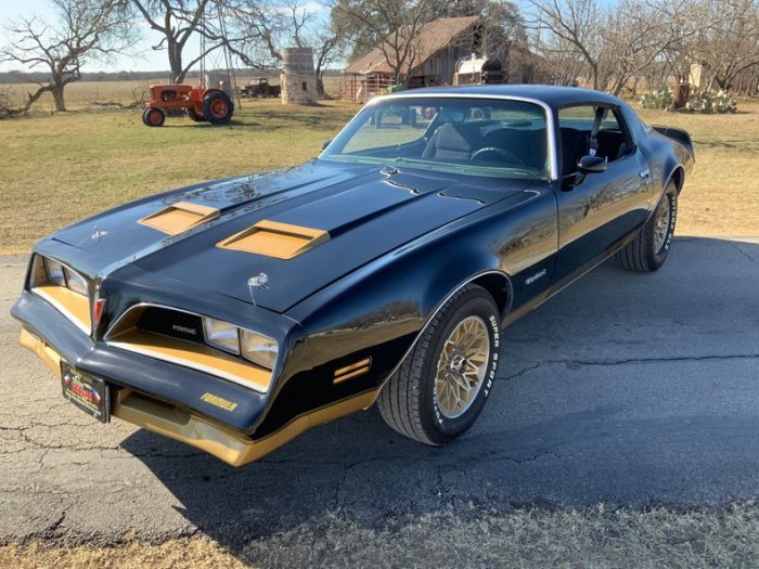 Firebird pontiac 1978 trans am sale speed bat