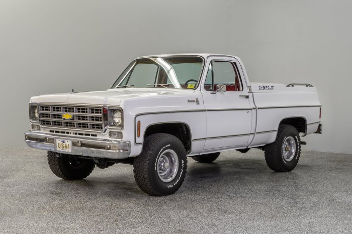 1978 Chevrolet Pickup