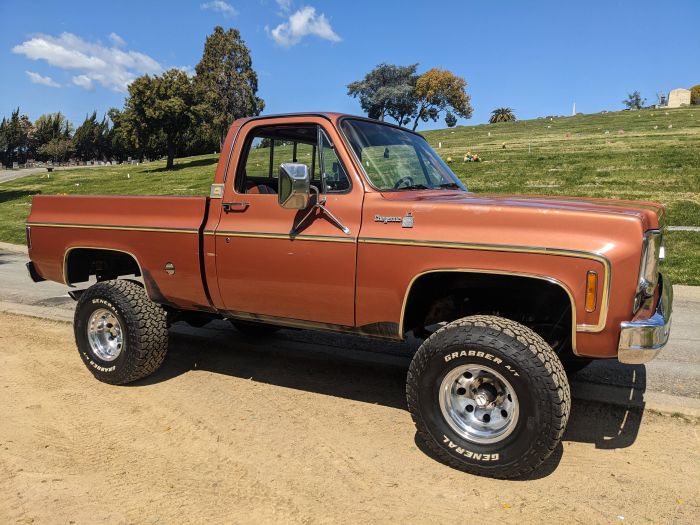 1977 Chevrolet Cheyenne