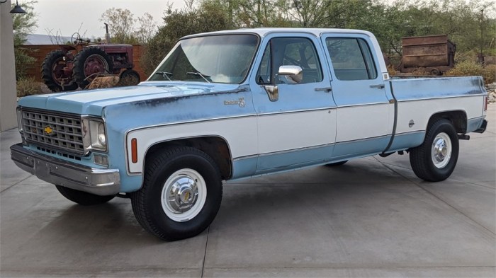 1975 Chevrolet C20