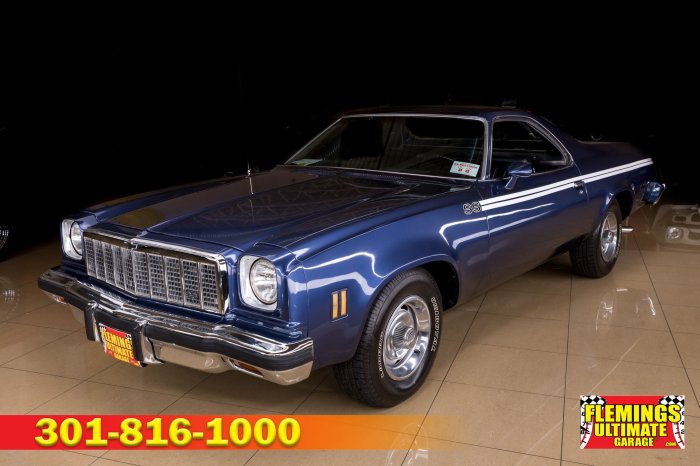 1975 camino el chevrolet momentcar