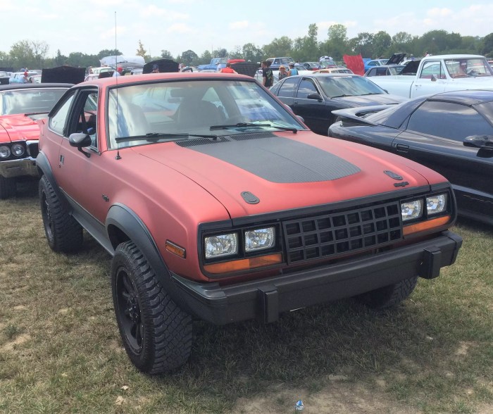 1983 AMC Eagle