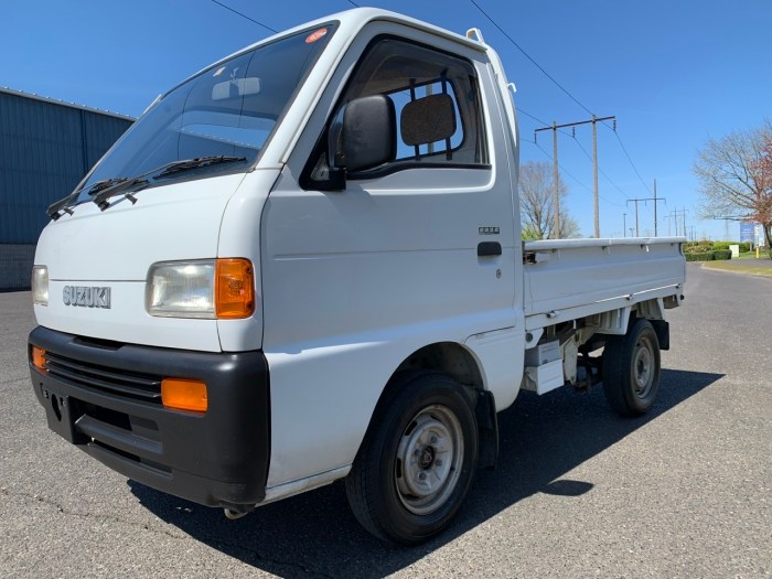 1995 Suzuki Carry: A Look Back at the Iconic Mini-Truck