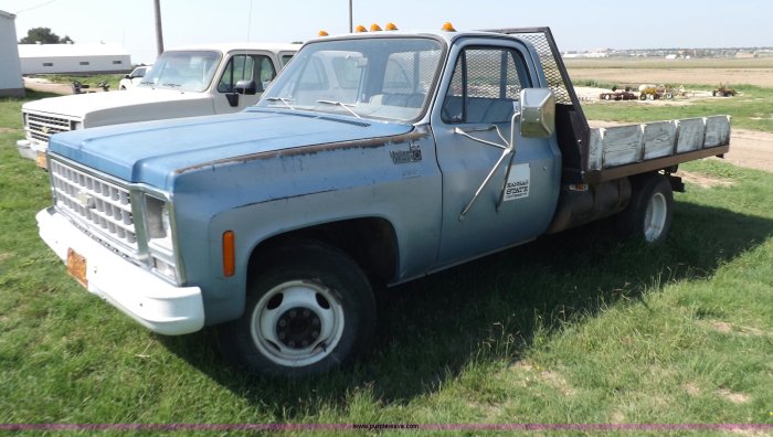 1980 Chevrolet C30: A Classic Workhorse