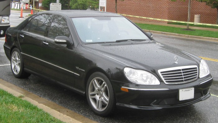 2009 Mercedes-Benz S55