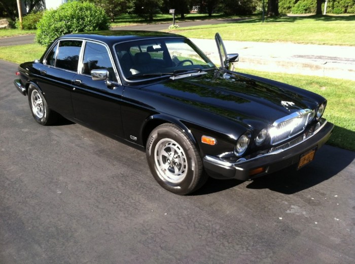 Jaguar xj6 1984 sale cars dyler saloon burgundy sedan