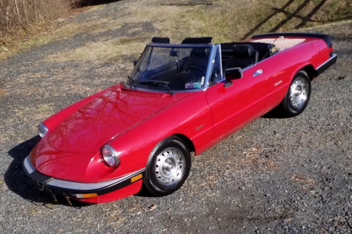 Spider alfa romeo graduate 1987 sale