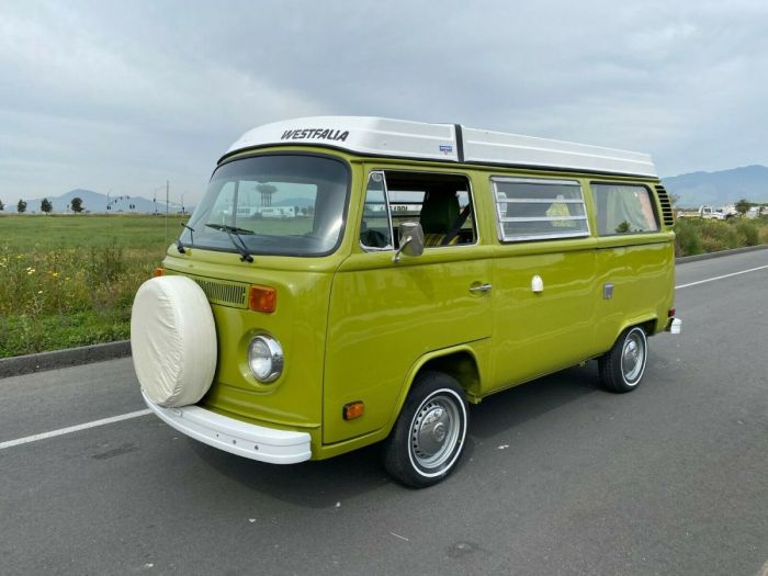 1979 Volkswagen Type 2