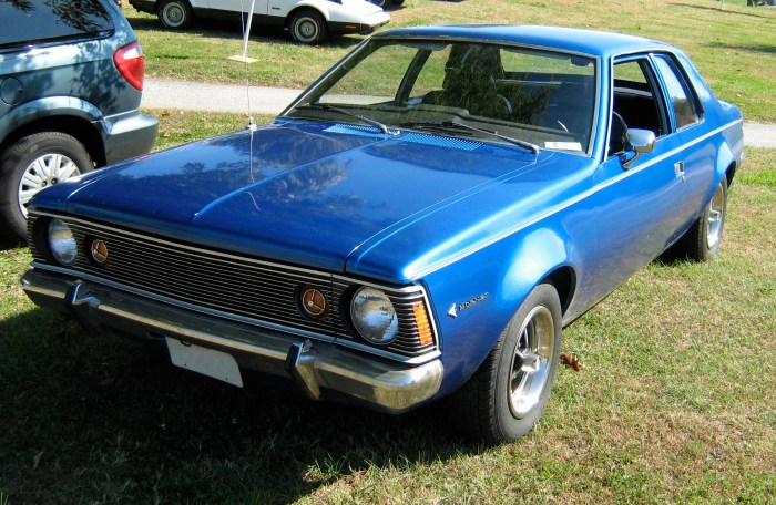 Hornet amc 1972 sst