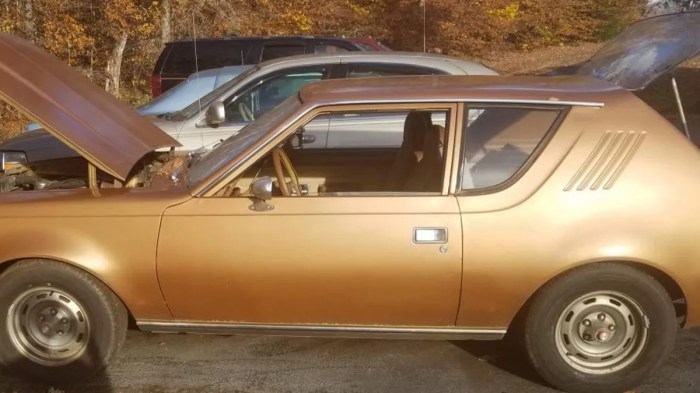 1976 AMC Gremlin