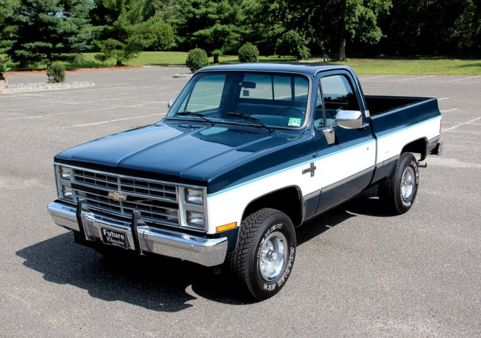 1985 Chevrolet 1500