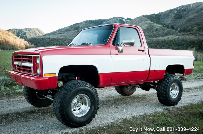 1982 Chevrolet C/K 10: A Classic American Pickup