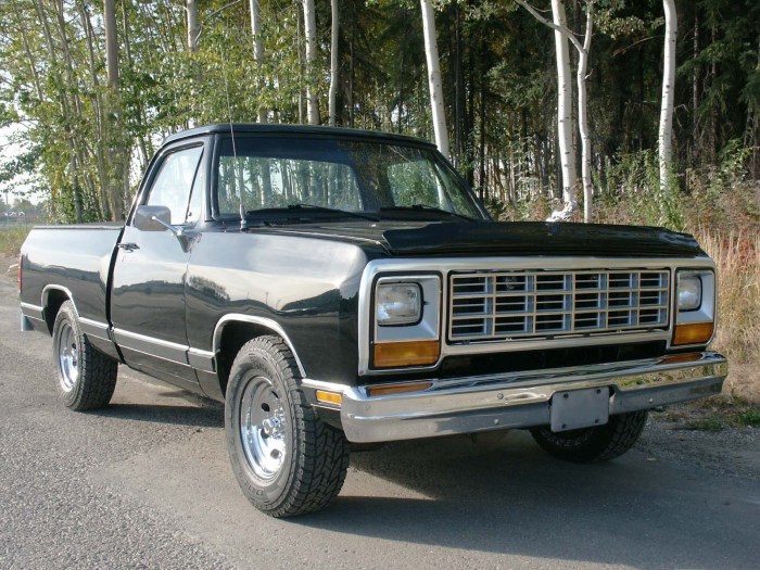 Ram 1991 cummins w250 turbo valve 4wd 9l 2500