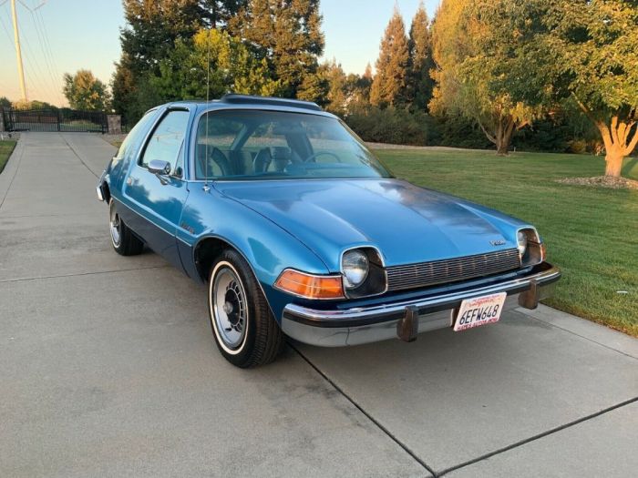 Pacer amc 1975 sale bat