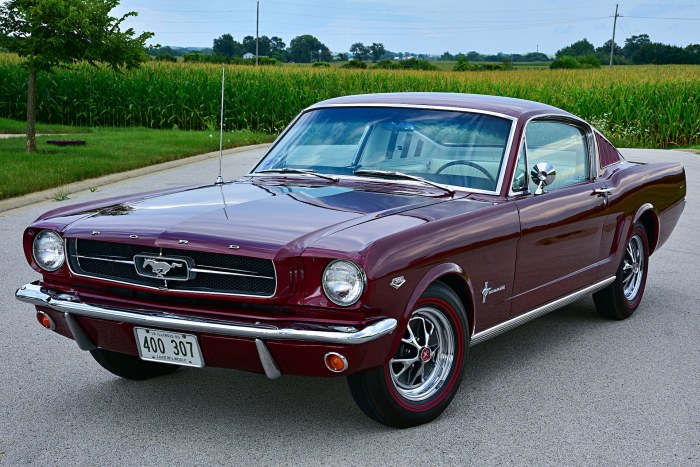1965 nmah