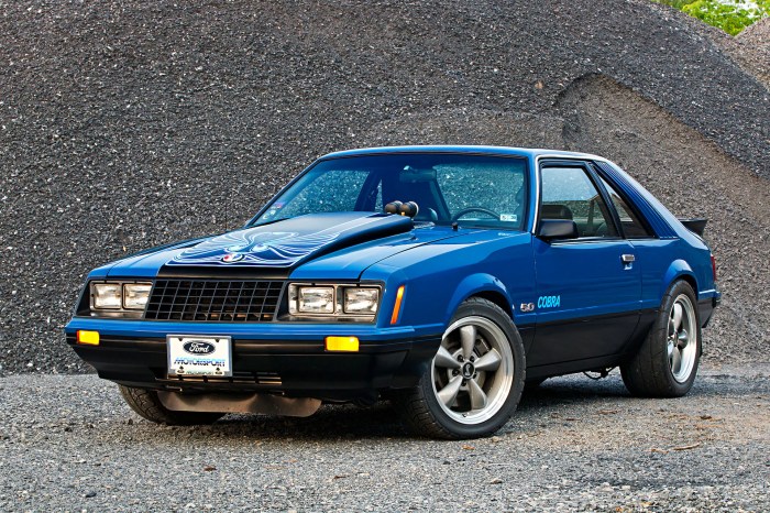 Mustang 1979 cobra mustangspecs