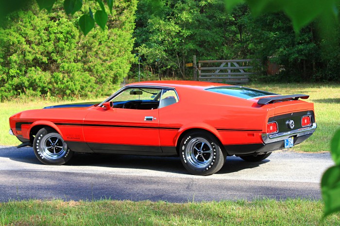 1971 fastback