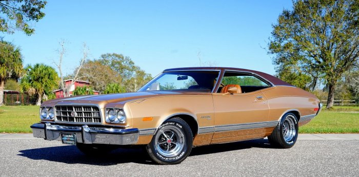 1973 Ford Gran Torino